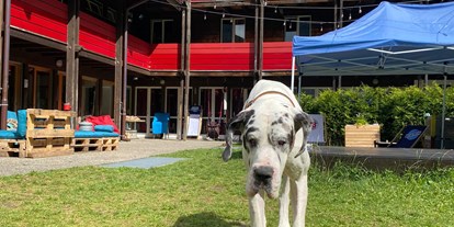 Hundehotel - Umgebungsschwerpunkt: Fluss - Alpine BASE Hostel
