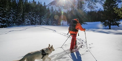 Hundehotel - Preisniveau: moderat - Hutterer Böden - Skitouren mit Hund - Sloho Bergurlaub