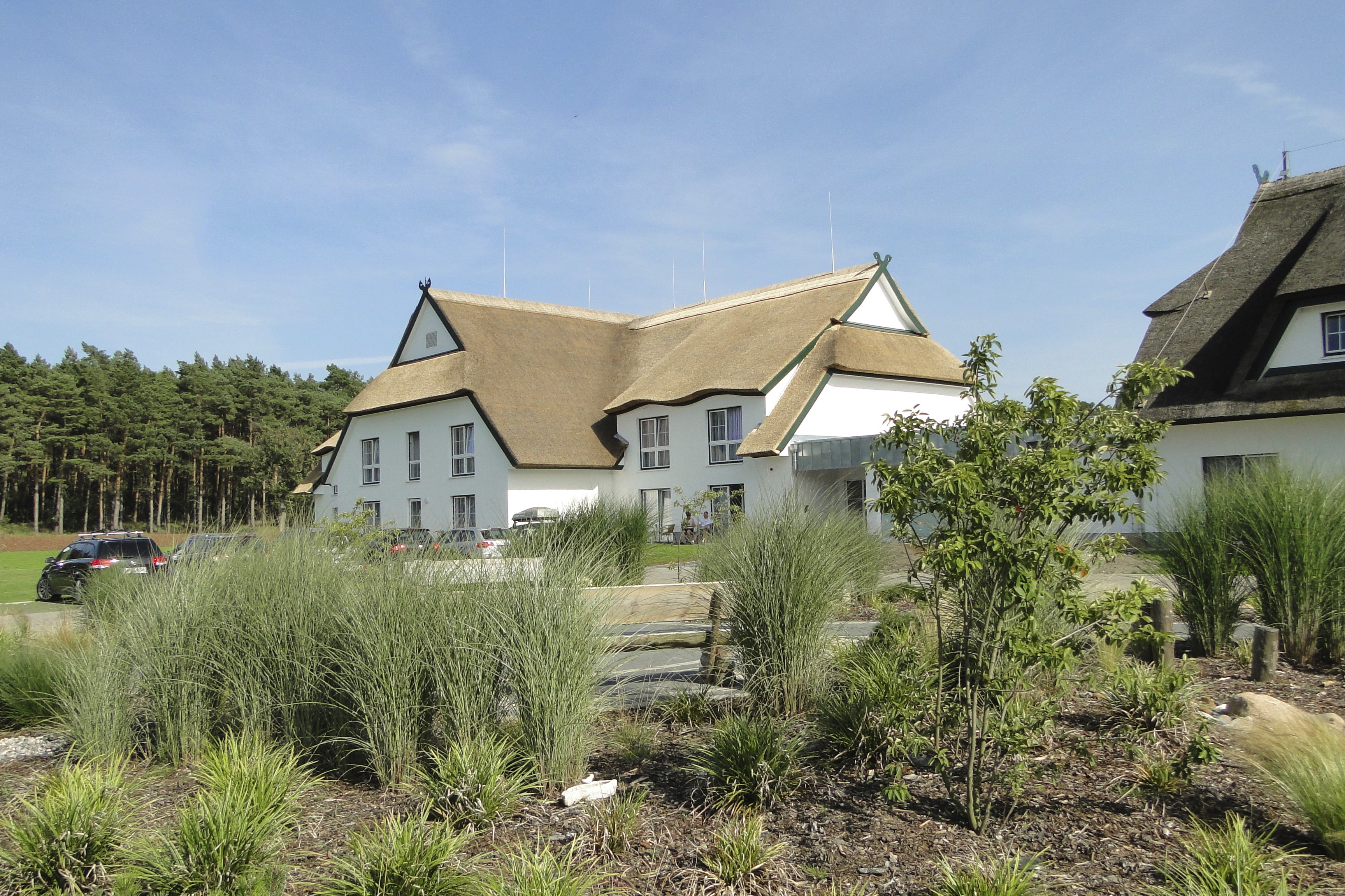 Urlaub-mit-Hund - Hotel Friesenhof - Hotel Friesenhof auf Usedom