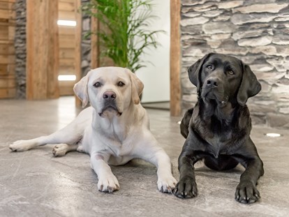 Hundehotel - Doggies: 3 Doggies - Jack & Rocco - Adults Only - Mühle Resort 1900