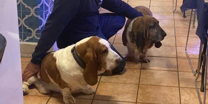 Hundehotel - Doggies: 1 Doggy - Italien - Marco  mit den Bassethounds Zoe und Poldo - Hotel San Desiderio - Rapallo - Italien