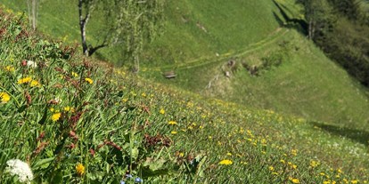 Hundehotel - Wellnessbereich - PLZ 5524 (Österreich) - Sommer im Großarltal - tolle Wanderungen und Bergtouren warten auf Sie! - Hotel Bergzeit