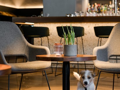 Hundehotel - Hund im Restaurant erlaubt - Hotel Bergzeit
