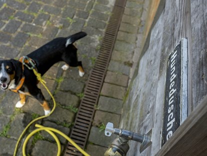Hundehotel - Trink-/Fressnapf: an der Rezeption - Nordseeküste - sonnenresort HÜTTMANN