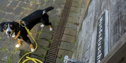 Hundehotel - Verpflegung: Halbpension - Nordsee - sonnenresort HÜTTMANN