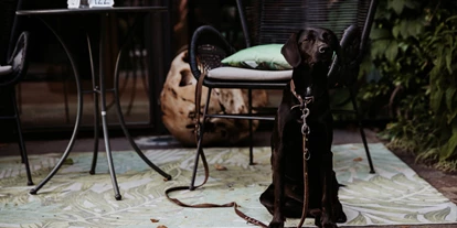 Hundehotel - keine Leinenpflicht im Hotel - Trentino-Südtirol - B&B Hotel BOTANGO