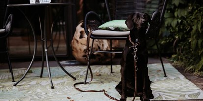 Hundehotel - keine Leinenpflicht im Hotel - Längenfeld - B&B Hotel BOTANGO