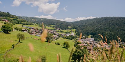 Hundehotel - Hundewiese: eingezäunt - Dorf Tirol - Moarhof