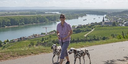 Hundehotel - Backofen - Deutschland - Wandern auf dem Rheinterrassenweg,  am Roter Hang bei Nierstein. - FeWo-Oppenheim