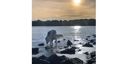 Hundehotel - Schwerpunkt: Städtetrips - Sunrise am Rhein. Zwischen Oppenheim und Eicher See führt ein ca. 14 km langes Wanderpfad mit kleinen Buchten direkt am Rhein entlang.  - FeWo-Oppenheim