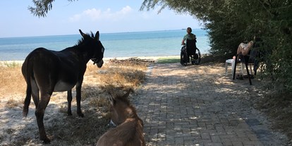 Hundehotel - Hundewiese: eingezäunt - Griechenland - Alkyona beach - Villa Sevasti****