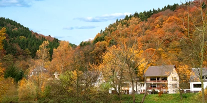 Hundehotel - Umgebungsschwerpunkt: Berg - Bölsberg - Hotel zur Post