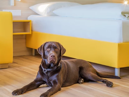 Hundehotel - Hund im Restaurant erlaubt - Winkling-Nord - Hundefreundliche Zimmer - Hi5-Hotel Seiersberg