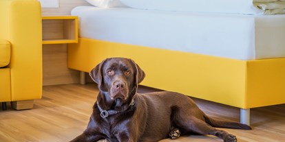 Hundehotel - Hundewiese: nicht eingezäunt - Wilhelmsdorf (Bad Gleichenberg) - Hundefreundliche Zimmer - Hi5-Hotel Seiersberg