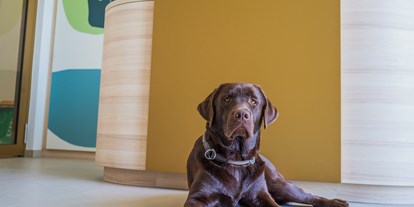 Hundehotel - Hundewiese: nicht eingezäunt - Poppendorf (Gnas) - Rezeption - Hi5-Hotel Seiersberg