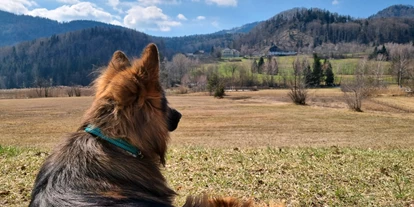 Hundehotel - Hundewiese: nicht eingezäunt - Unken - Urlaub mit Hund am Fuschlsee - Arabella Jagdhof Resort am Fuschlsee, a Tribute Portfolio Hotel