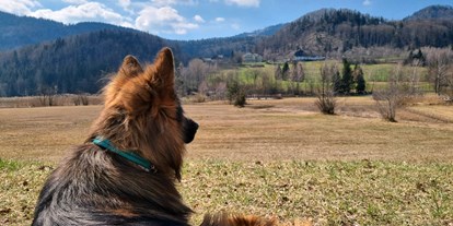 Hundehotel - Umgebungsschwerpunkt: See - Braunötzhof - Urlaub mit Hund am Fuschlsee - Arabella Jagdhof Resort am Fuschlsee, a Tribute Portfolio Hotel