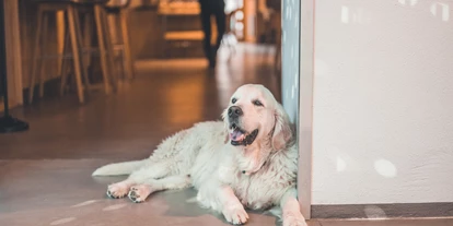 Hundehotel - Hund im Restaurant erlaubt - Grabenstätt - Belmondo - Hotel & Wirtshaus Post