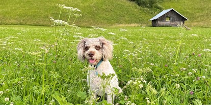 Hundehotel - Klassifizierung: 5 Sterne - Biberwier - In der Natur - Bader Suites