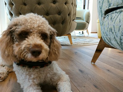 Hundehotel - Hundewiese: nicht eingezäunt - Raitis - Lounge - Bader Suites
