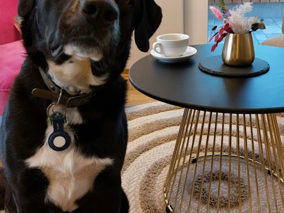 Hundehotel - Hundewiese: nicht eingezäunt - Mösern - Lounge - Bader Suites