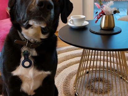 Hundehotel - Hundewiese: nicht eingezäunt - Zugspitze - Lounge - Bader Suites