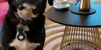 Hundehotel - Hundewiese: nicht eingezäunt - Seefeld in Tirol - Lounge - Bader Suites
