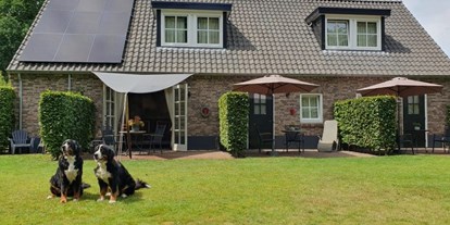 Hundehotel - Hundewiese: eingezäunt - Hof van Eerde