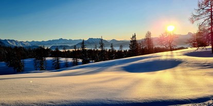 Hundehotel - Snowboarden - Österreich - Ferienwohnungen Bergpanorama 