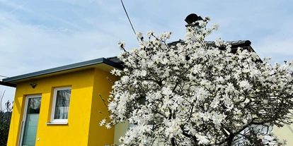 Hundehotel - Grundstück eingezäunt - St. Georgen im Lavanttal - Frühling - Ferienhaus Sausalblick 