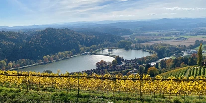Hundehotel - Backofen - Steiermark - Aussicht vom Silberberg zum Sulmsee - Ferienhaus Sausalblick 