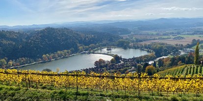 Hundehotel - Fahrradwege - Österreich - Aussicht vom Silberberg zum Sulmsee - Ferienhaus Sausalblick 