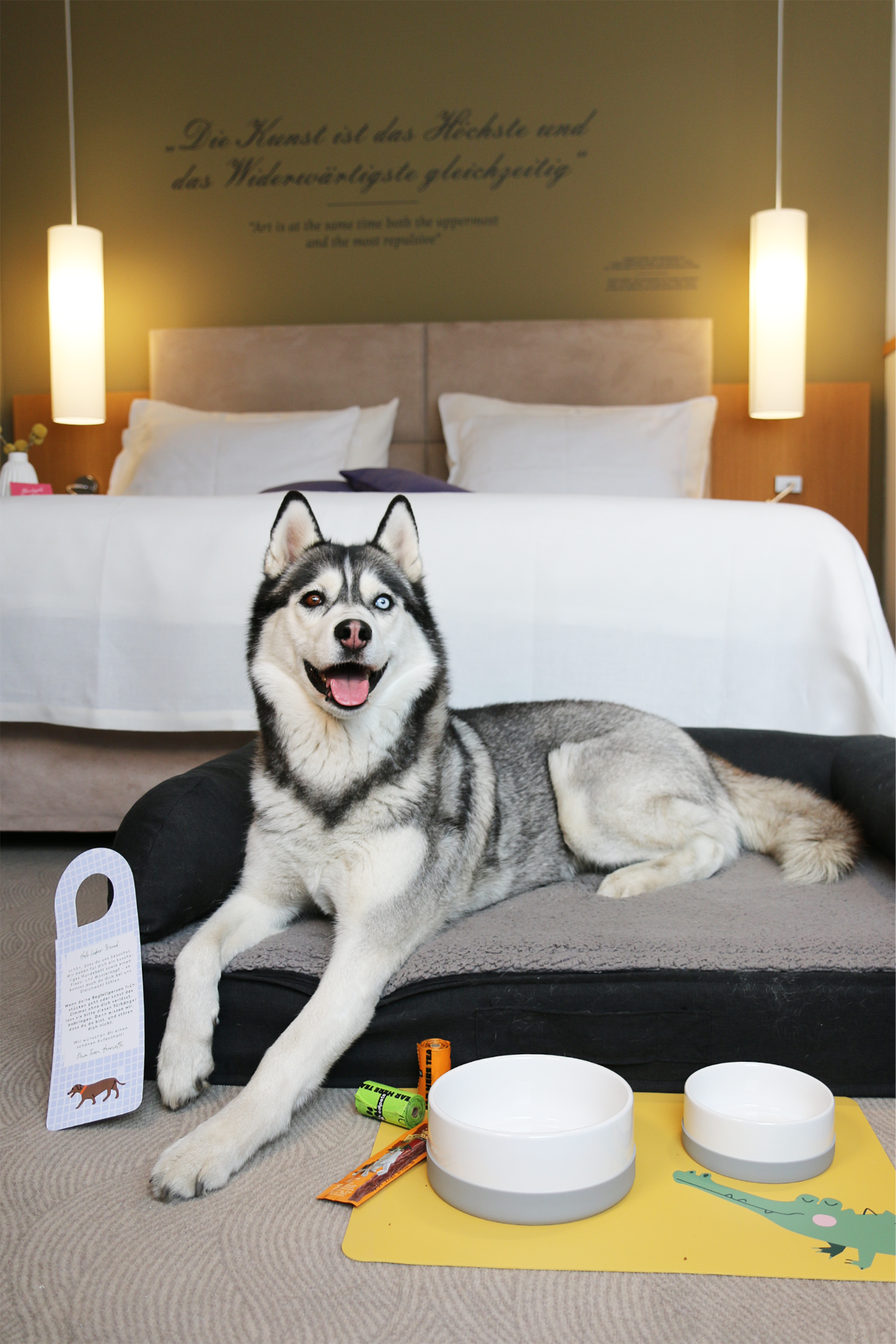 Urlaub-mit-Hund - Husky im Hundebett - Henriette Stadthotel Vienna