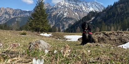 Hundehotel - Preisniveau: exklusiv - Oberzalimtal. Wandern. Bergen. Blumen. Natur.  - Valavier Aktivresort 