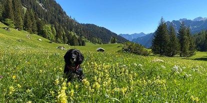 Hundehotel - Trink-/Fressnapf: im Zimmer - PLZ 7078 (Schweiz) - Spaziergang. Brandnertal. Wetter genießen.  - Valavier Aktivresort 