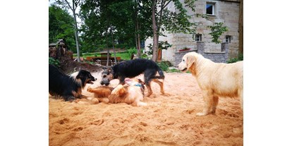 Hundehotel - Sitzplatz im Garten - Sandbuddelplatz - Lienlasmühle