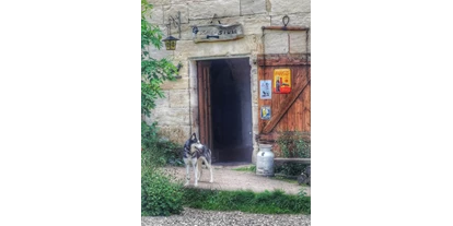 Hundehotel - Grundstück eingezäunt - Kirchenpingarten - Hier gehts in die Zottelstube - Lienlasmühle