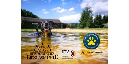 Hundehotel - Internet - Münchberg - Unser Ferienhaus ist ausgezeichnet vom Deutschen Tourismusverband mit 5 Sternen und 5 Pfoten - Lienlasmühle