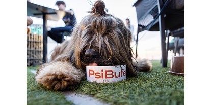 Hundehotel - Hundewiese: nicht eingezäunt - Polen - Menu dla piesków Psi Bufet  w restauracji a ' la carte- Beach Bar Max.  - Max Health Resort Spa