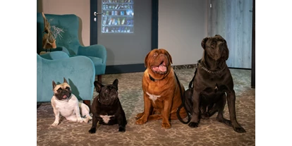 Hundehotel - Sauna - Akceptujemy psy każdego rozmiaru. 
Oto psia rodzina Maxa. - Max Health Resort Spa