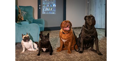 Hundehotel - Verpflegung: Frühstück - Polen - Akceptujemy psy każdego rozmiaru. 
Oto psia rodzina Maxa. - Max Health Resort Spa