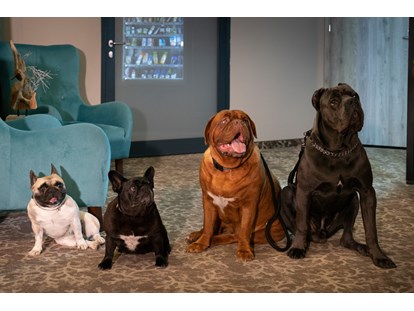 Hundehotel - Verpflegung: Vollpension - Akceptujemy psy każdego rozmiaru. 
Oto psia rodzina Maxa. - Max Health Resort Spa