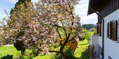 Hundehotel - Grundstück eingezäunt - Deutschland - Magnolienblüte im Frühjahr - Ferienhaus "Traudl"