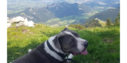 Hundehotel - Klassifizierung: 4 Sterne - Bayern - Das tolle Panorame in den Allgäuer Bergen zusammen mit den geliebten eigenen Hunden erleben, abgesicherte Bergfahrten mit geschlossenen Kabinenbahnen zu unvergesslichen Urlaubsstunden, versprochen. - GRAND APARTMENT ALLGAEU . max 12 Pers 130 qm Ferienhaus FeWo Kinder Hunde 800 qm Garten eingezaeunt
