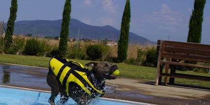 Hundehotel - Bademöglichkeit für Hunde - Italien - Fattoria Maremmana