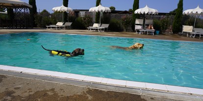 Hundehotel - Bademöglichkeit für Hunde - Maremma - Grosseto - Fattoria Maremmana