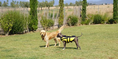 Hundehotel - Hundewiese: eingezäunt - Grosseto - Fattoria Maremmana