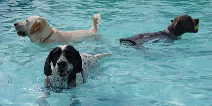 Hundehotel - Pools: Außenpool nicht beheizt - Toskana - Fattoria Maremmana