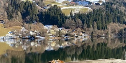 Hundehotel - Hund im Restaurant erlaubt - Rosenegg (Ebenthal in Kärnten) - Strandhotel Burgstaller