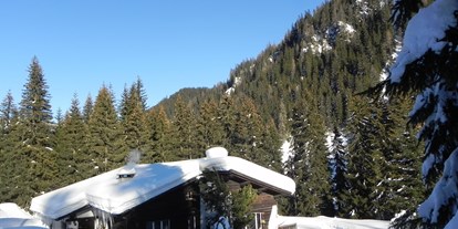Hundehotel - Internet - Graubünden - Das Chalet direkt am Wander- und Schlittelweg Arosa-Litzirüti - Ferienwohnung "In da Brünst"